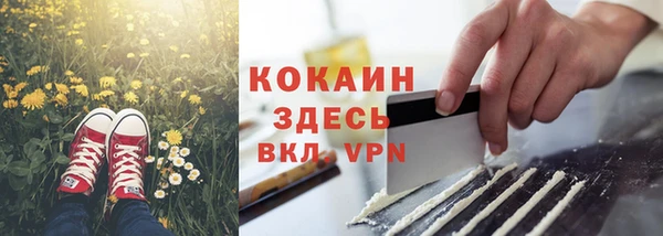 твердый Дмитров