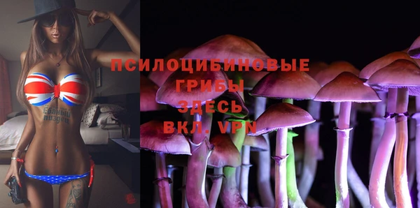 твердый Дмитров