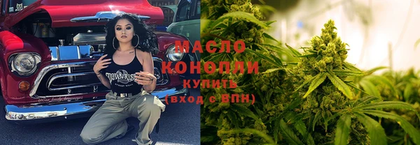 твердый Дмитров