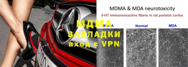 стаф Дмитриев